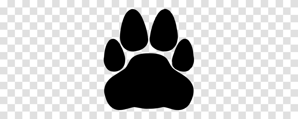 Paw Animals, Gray, World Of Warcraft Transparent Png