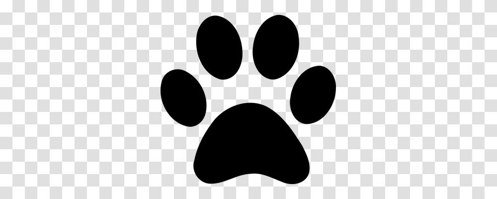 Paw Animals, Gray, World Of Warcraft Transparent Png