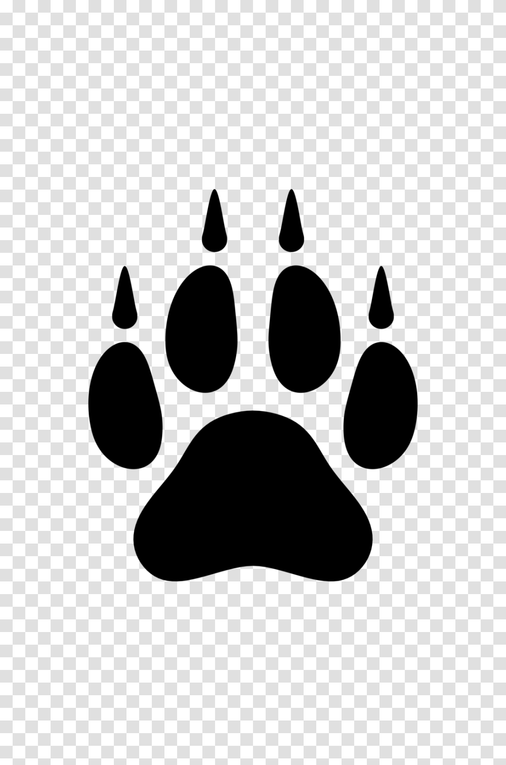 Paw, Animals, Gray, World Of Warcraft Transparent Png