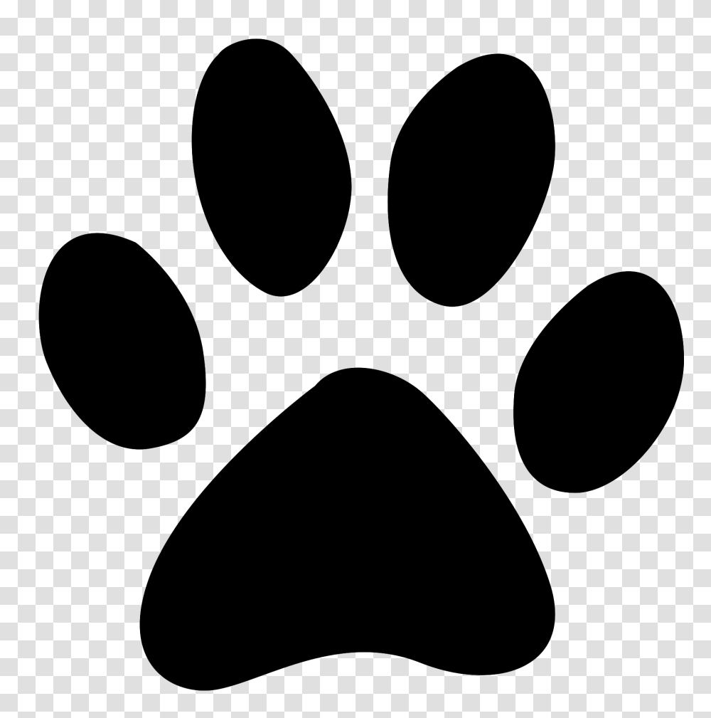 Paw, Animals, Gray, World Of Warcraft Transparent Png