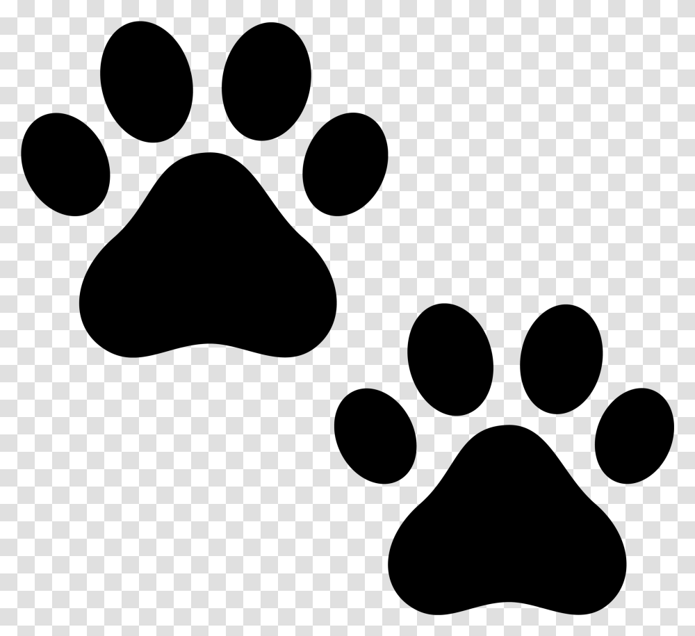 Paw, Animals, Gray, World Of Warcraft Transparent Png