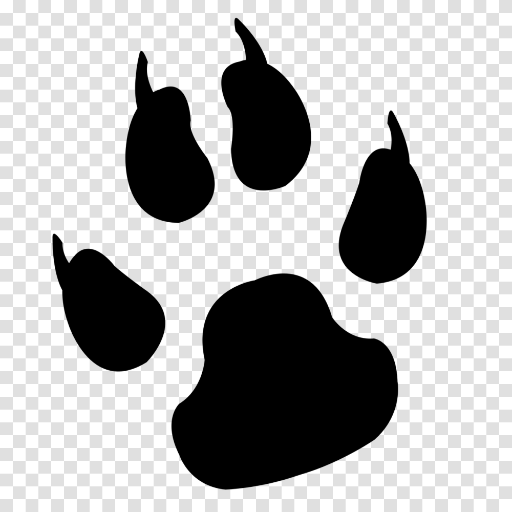 Paw, Animals, Gray, World Of Warcraft Transparent Png