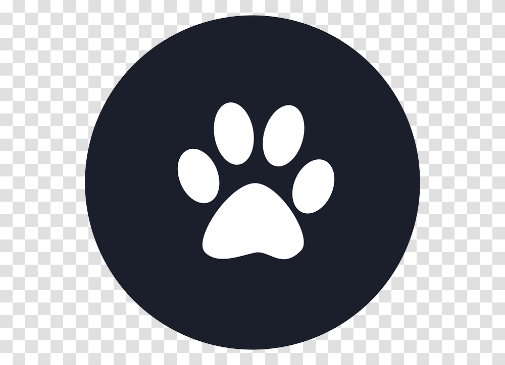 Paw, Animals, Moon, Outer Space, Night Transparent Png