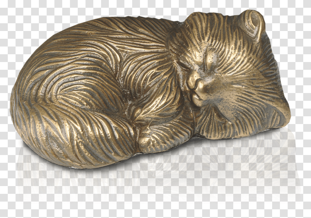 Paw, Fossil, Bronze, Rug, Coin Transparent Png