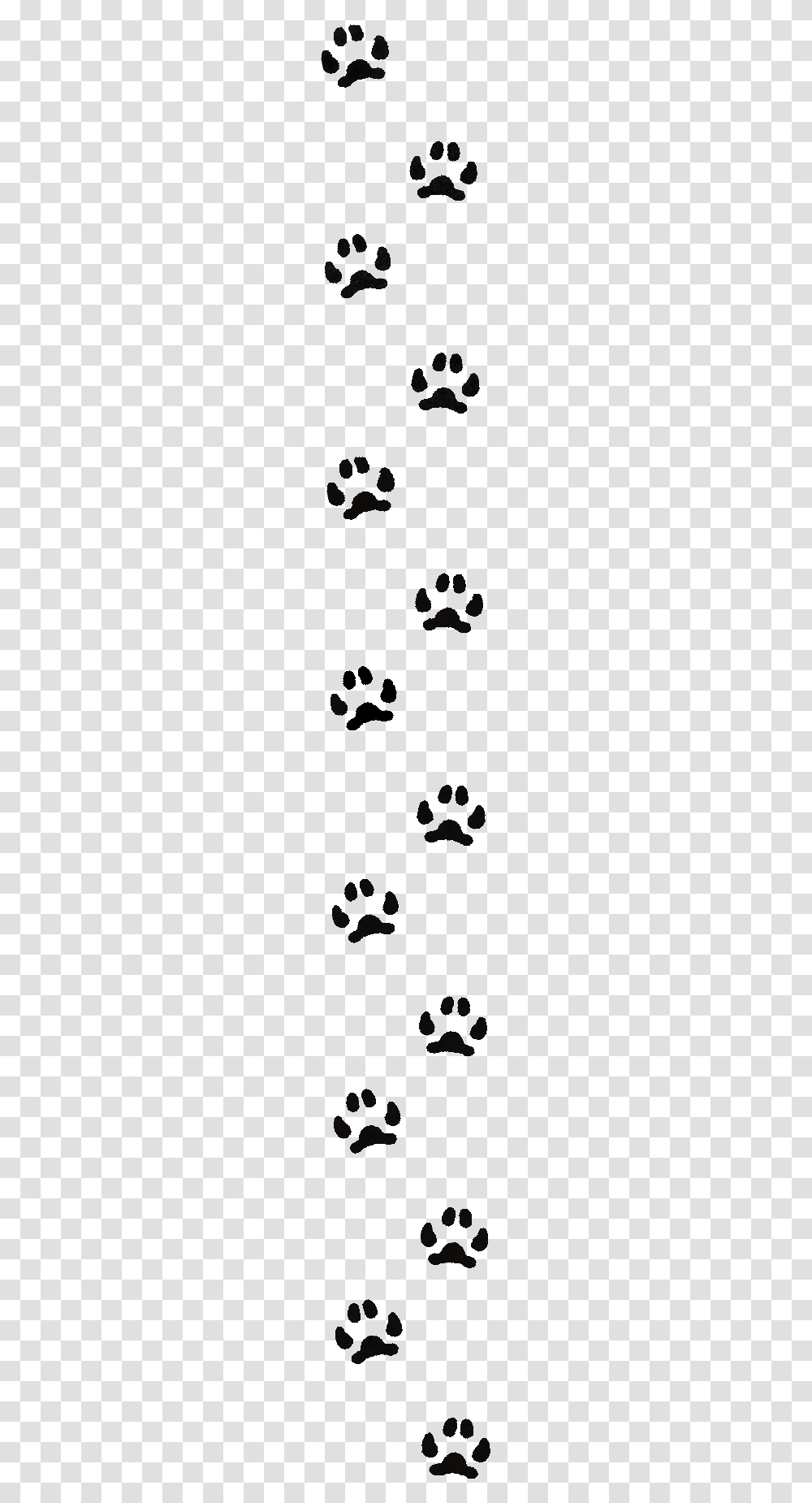 Paw Print Border Line, Outdoors, Nature, Astronomy, Outer Space Transparent Png