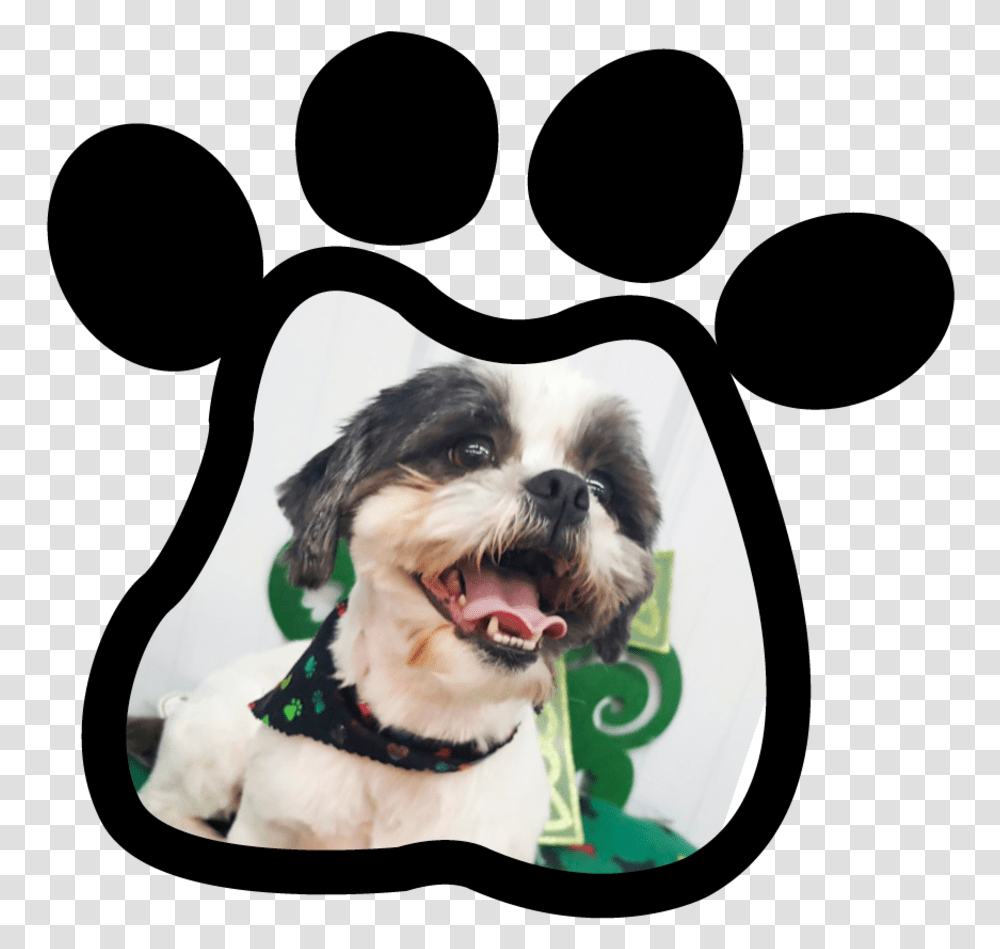 Paw Print 1agqgv4 Dog Catches Something, Pet, Canine, Animal, Mammal Transparent Png