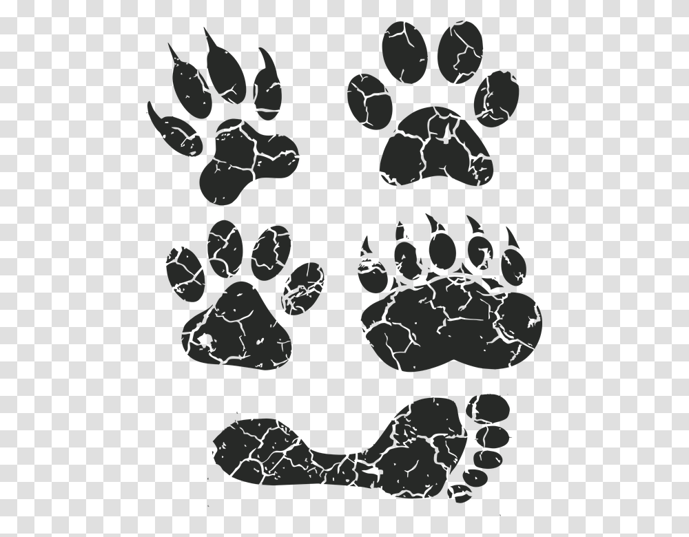 Paw Print Paw Foot Prints Footprint Animal Tracks Paw, Silhouette Transparent Png