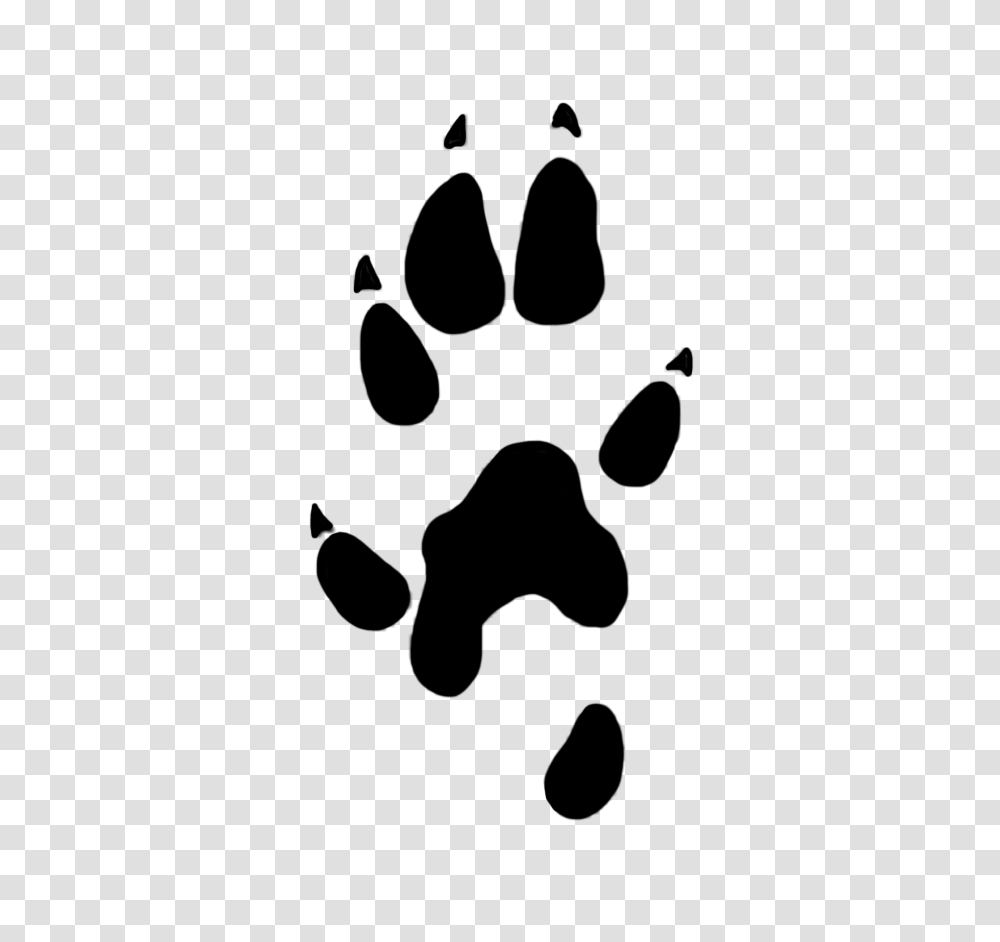 Paw Prints Clipart, Microscope Transparent Png