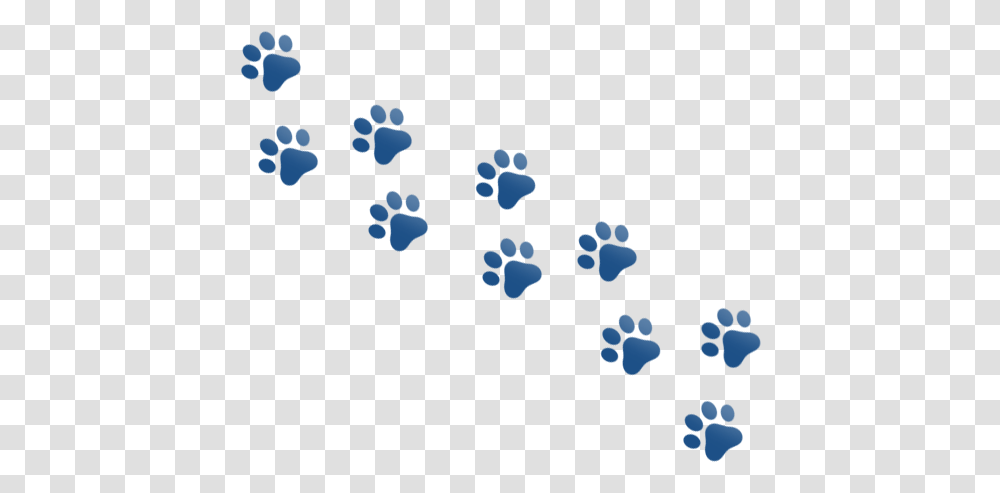 Paw Prints, Moon, Outer Space, Night, Astronomy Transparent Png