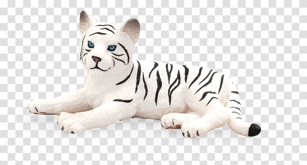 Paw, Tiger, Wildlife, Mammal, Animal Transparent Png