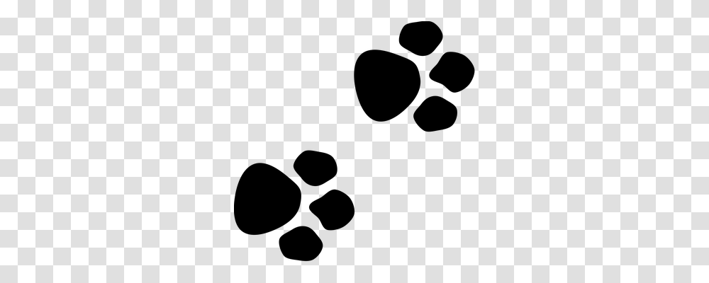 Paws Gray, World Of Warcraft Transparent Png