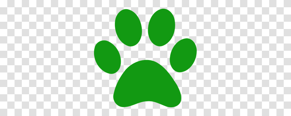 Paws Animals, Footprint Transparent Png