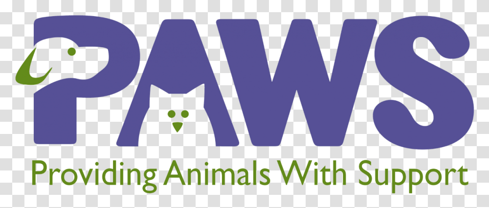 Paws Cofico, Cat, Pet, Mammal, Animal Transparent Png