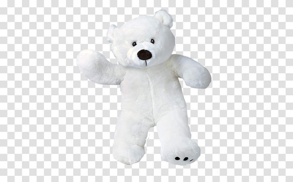 Paws The Polar Bear 16 White Teddy Bear, Toy, Plush, Snowman, Winter Transparent Png