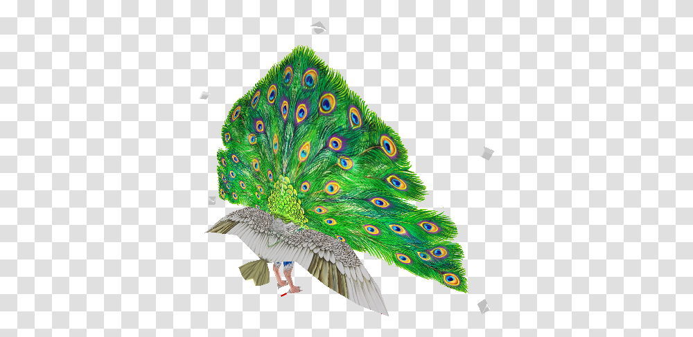 Pc Computer Bird, Animal, Peacock Transparent Png