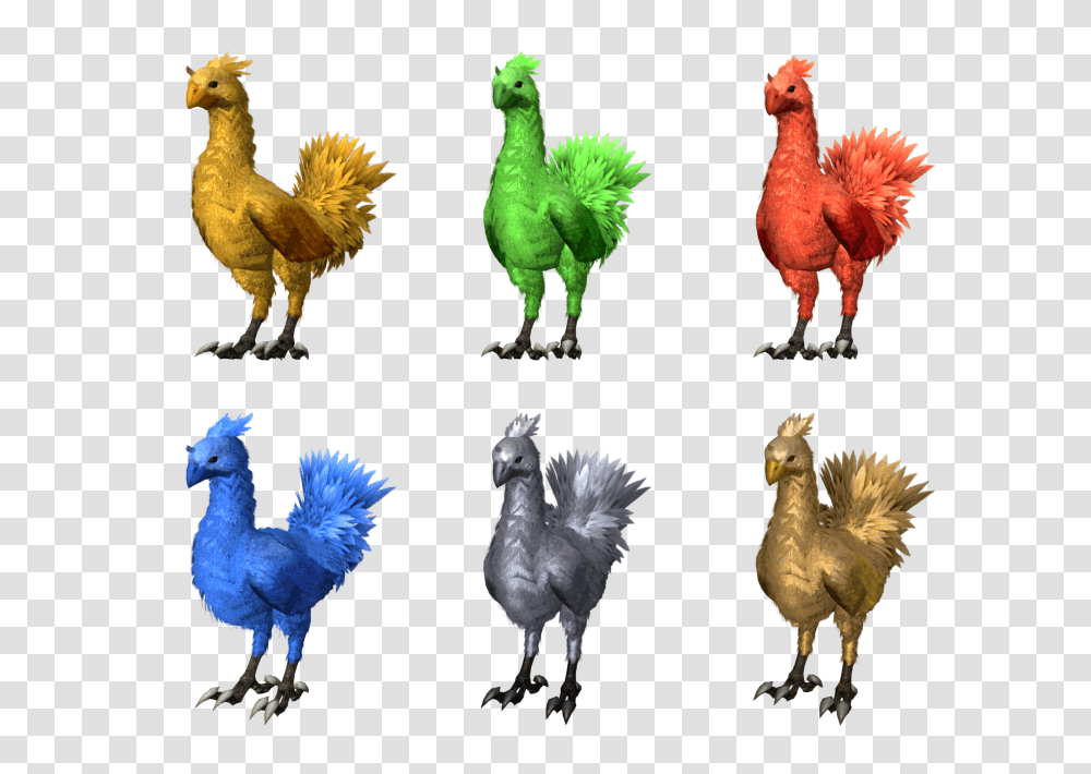 Pc Computer, Chicken, Poultry, Fowl, Bird Transparent Png