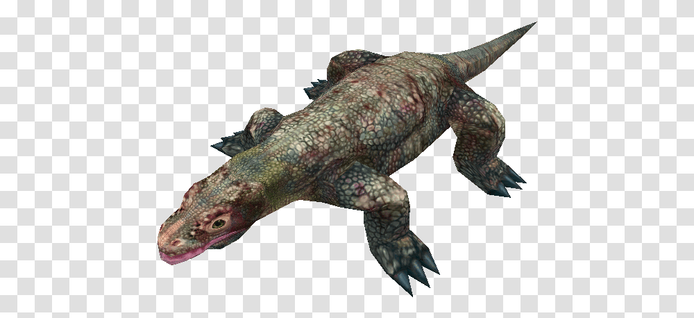 Pc Computer Zoo Tycoon 2 Komodo Dragon Adult The Zoo Tycoon 2 Komodo Dragon, Lizard, Reptile, Animal, Gecko Transparent Png