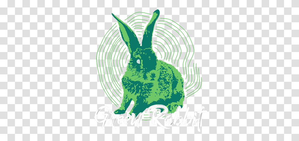 Pc Dive Club Logo Domestic Rabbit, Animal, Mammal, Symbol, Bird Transparent Png