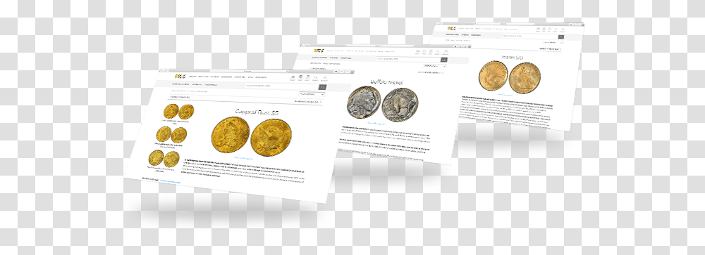 Pcgs The Standard For Rare Coin Industry Language, Money, Page, Text, Gold Transparent Png