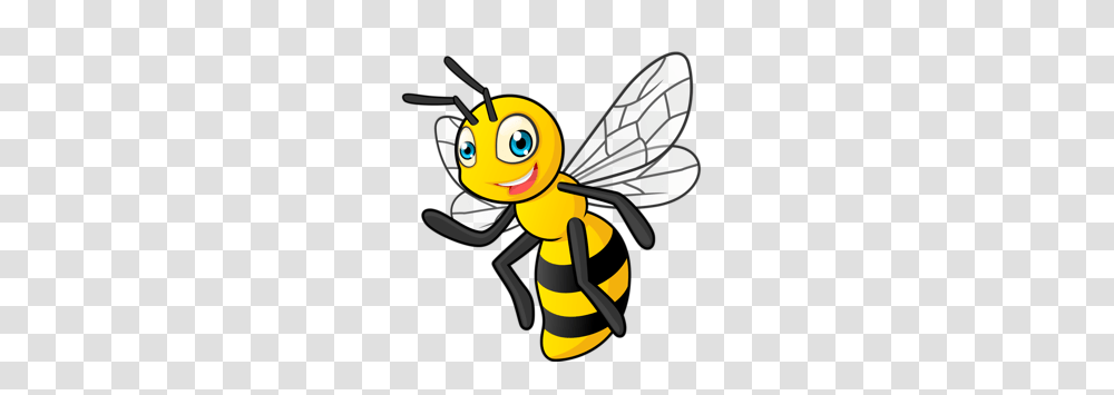 Pchely Osy Med Imagenes Varias, Honey Bee, Insect, Invertebrate, Animal Transparent Png