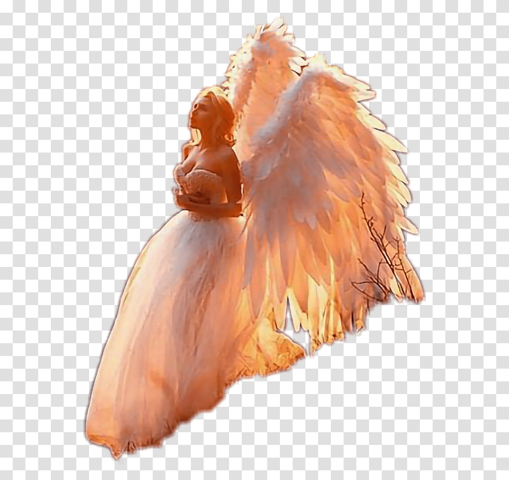 Pchugs, Female, Wedding Gown Transparent Png