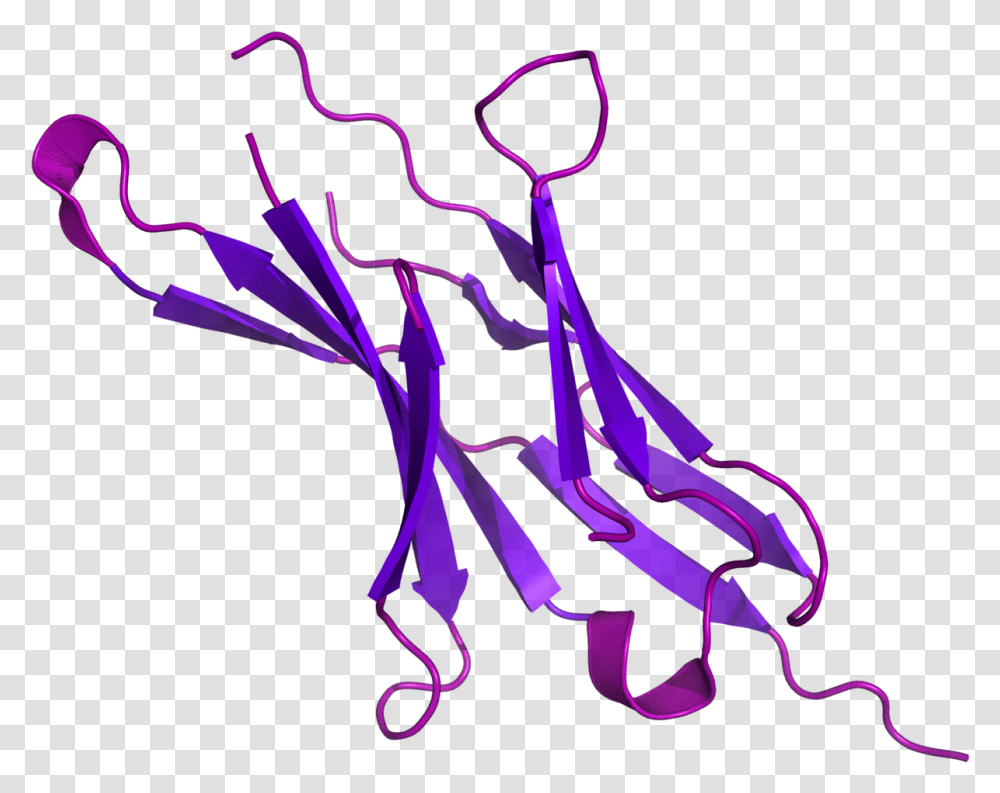 Pd 1 Protein, Light, Pattern Transparent Png