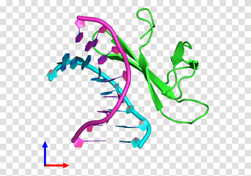 Pdb 4r55 Coloured By Chain And Viewed From The Front Graphic Design, Neon, Light Transparent Png