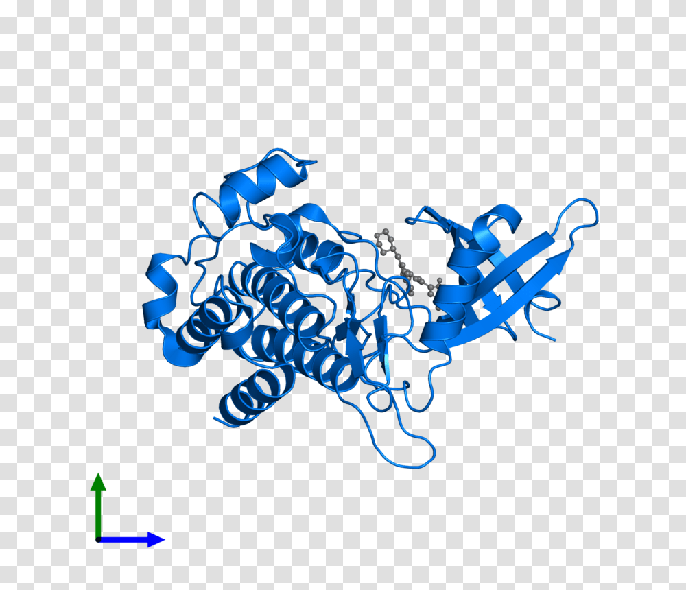Pdb Gallery Protein Data Bank In Europe, Hand Transparent Png