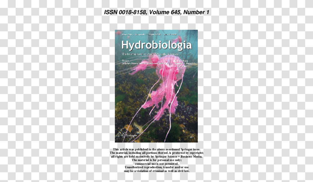 Pdf Identification Key For Young Ephyrae A First Step Tree, Poster, Advertisement, Jellyfish, Invertebrate Transparent Png