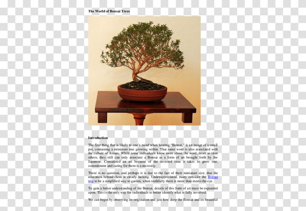 Pdf The World Of Bonsai Trees Jason Cole Jr Academiaedu Sageretia Theezans, Potted Plant, Vase, Jar, Pottery Transparent Png
