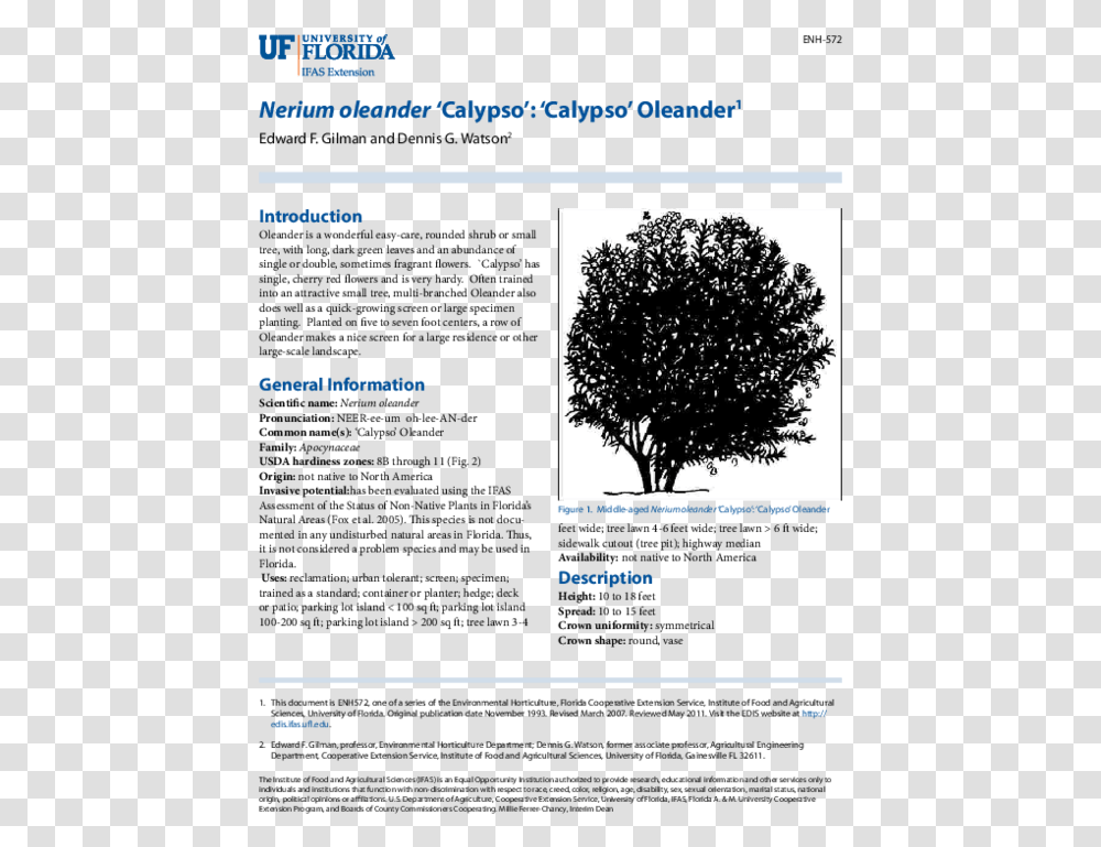 Pdf Tree University Of Florida, Plant, Legend Of Zelda, Vegetation Transparent Png