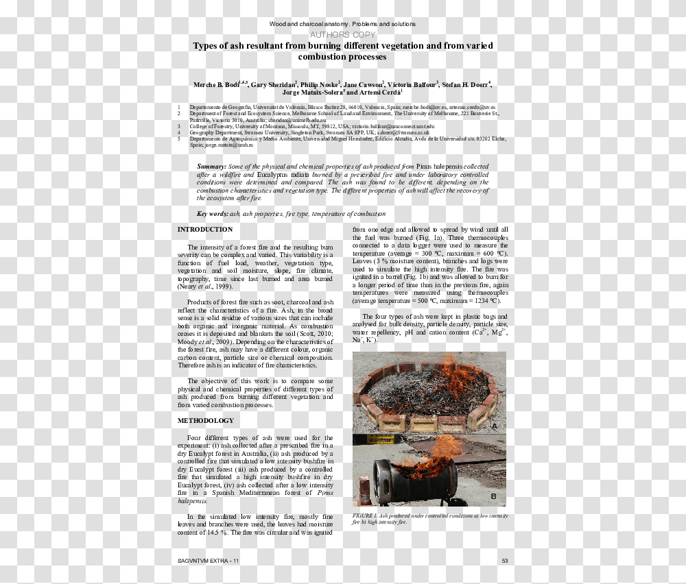 Pdf Types Of Ash Resultant From Burning Different Document, Lobster, Food, Animal, Outdoors Transparent Png