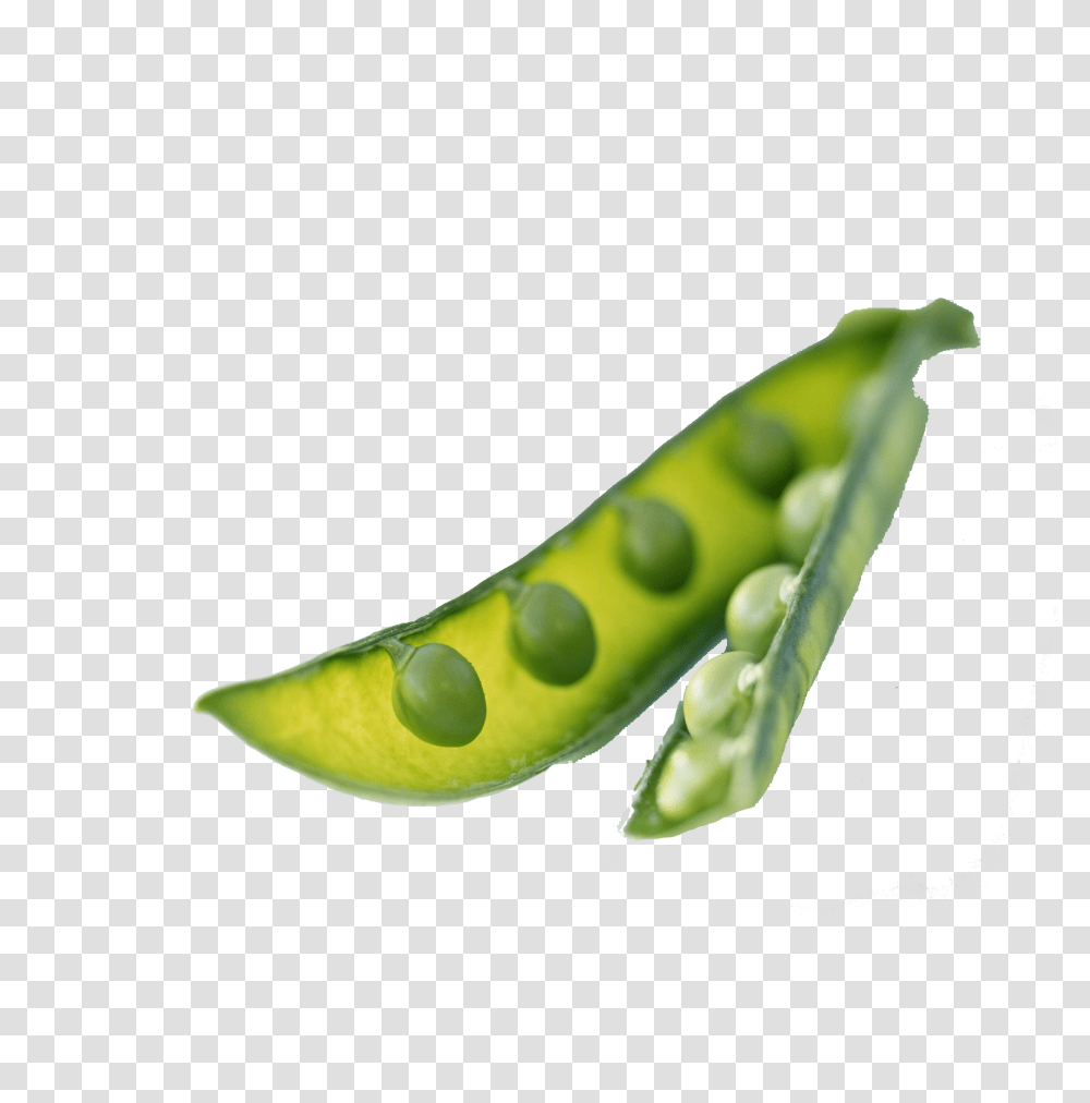 Pea Background Image, Banana, Fruit, Plant, Food Transparent Png