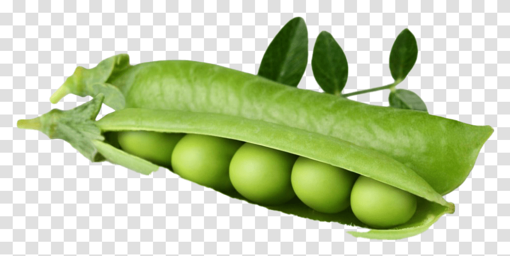 Pea Background Image Pea, Plant, Vegetable, Food Transparent Png