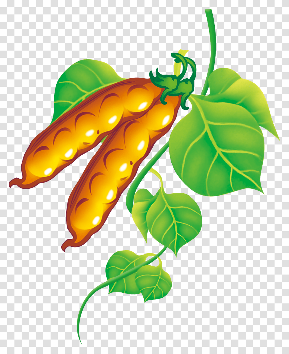 Pea Clipart Green Fruit Vegetable, Plant, Leaf, Food, Produce Transparent Png