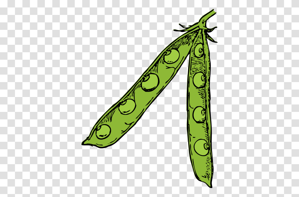 Pea Clipart Pod Background, Plant, Vegetable, Food, Produce Transparent Png