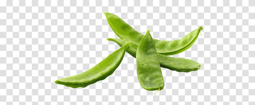 Pea Free Image Snap Pea, Plant, Vegetable, Food Transparent Png