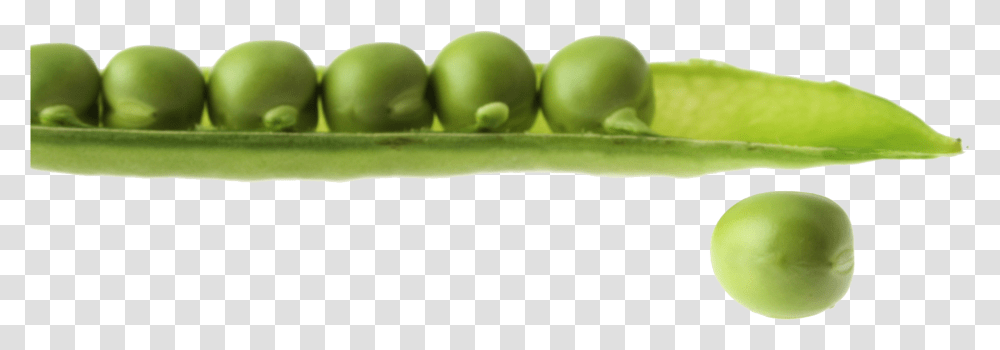 Pea Free Images Snap Pea, Plant, Vegetable, Food Transparent Png