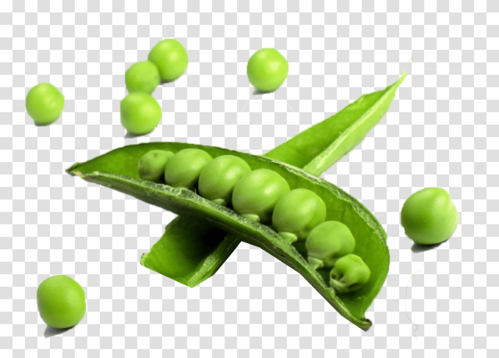 Pea Free Vegetables In A Single, Plant, Food, Tennis Ball, Sport Transparent Png