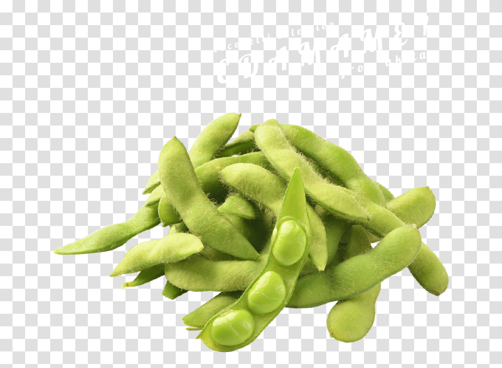 Pea Green Bean Background, Plant, Vegetable, Food, Soy Transparent Png