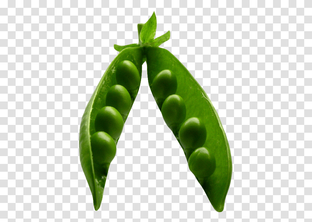 Pea Image For Free Download Pea, Plant, Vegetable, Food Transparent Png