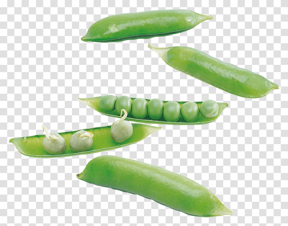 Pea Image Green Pea, Plant, Vegetable, Food Transparent Png