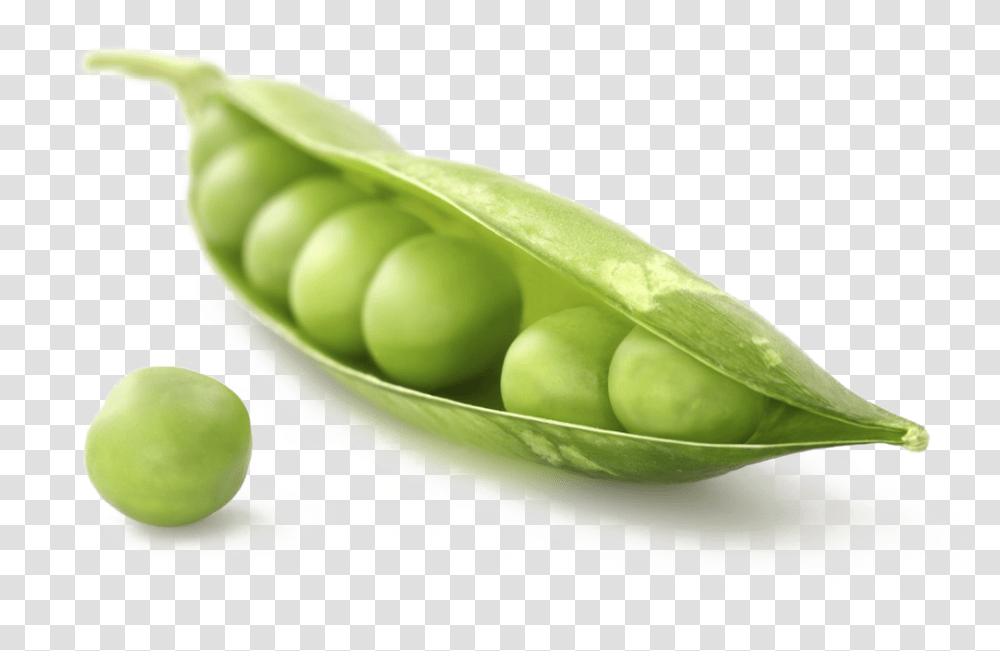 Pea Image Pea, Plant, Vegetable, Food Transparent Png
