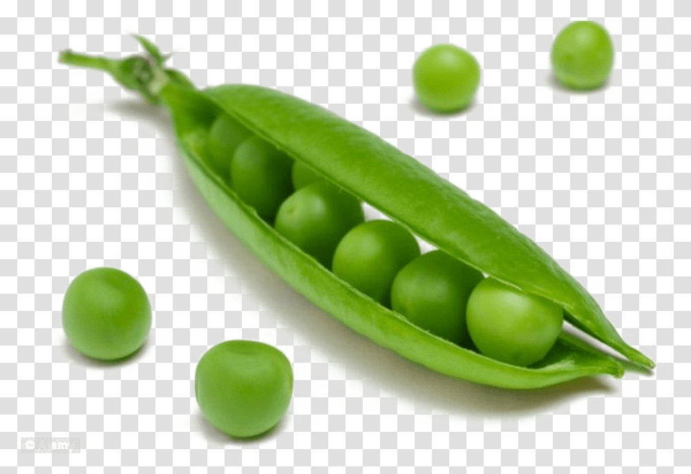 Pea Image Peas Means, Plant, Vegetable, Food Transparent Png