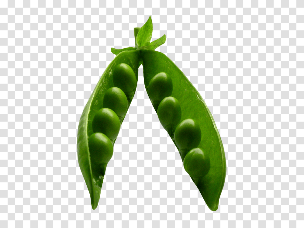 Pea Image, Vegetable, Plant, Food Transparent Png