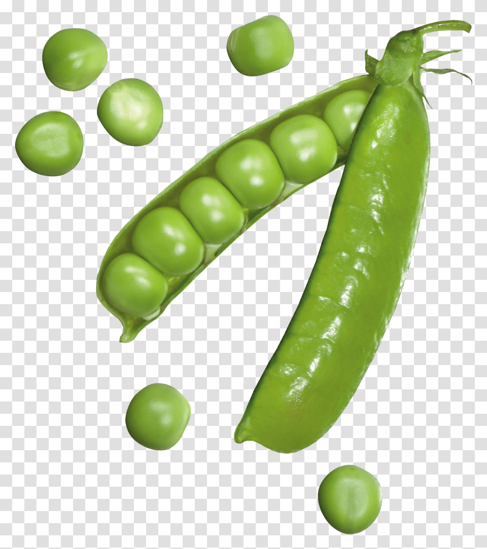 Pea Images Free Download Pea, Plant, Vegetable, Food, Tennis Ball Transparent Png