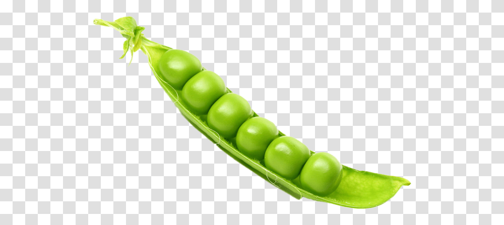Pea Images Play Peas, Plant, Vegetable, Food Transparent Png