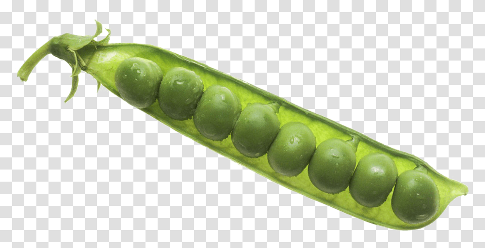 Pea Pea Image Background Peas In Pod, Plant, Vegetable Transparent Png