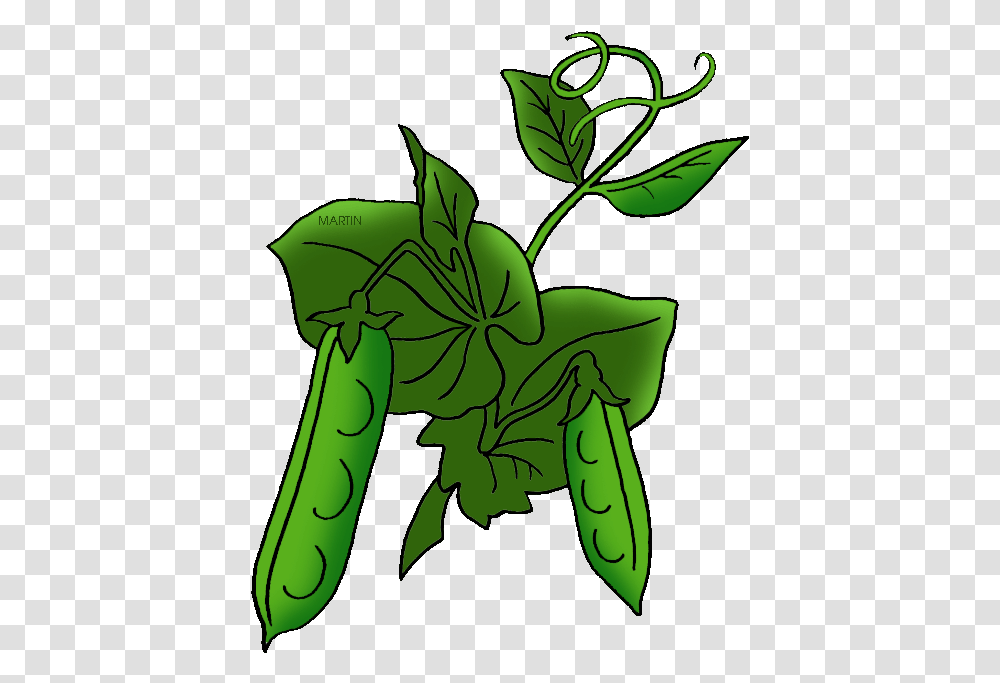 Pea Plant Pea Plant Clip Art, Leaf, Green, Food, Vegetable Transparent Png