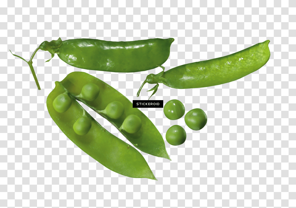 Pea, Plant, Vegetable, Food Transparent Png